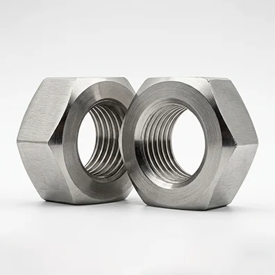 Stainless Steel Nuts